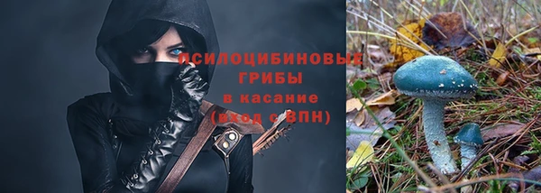 соль курить ск Алексеевка