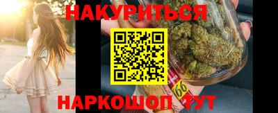 крисы Новозыбков