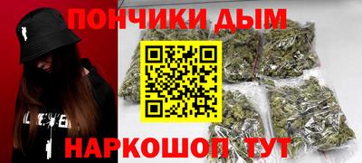 крисы Новозыбков