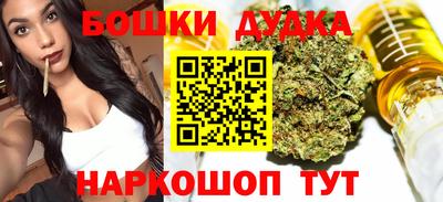 крисы Новозыбков