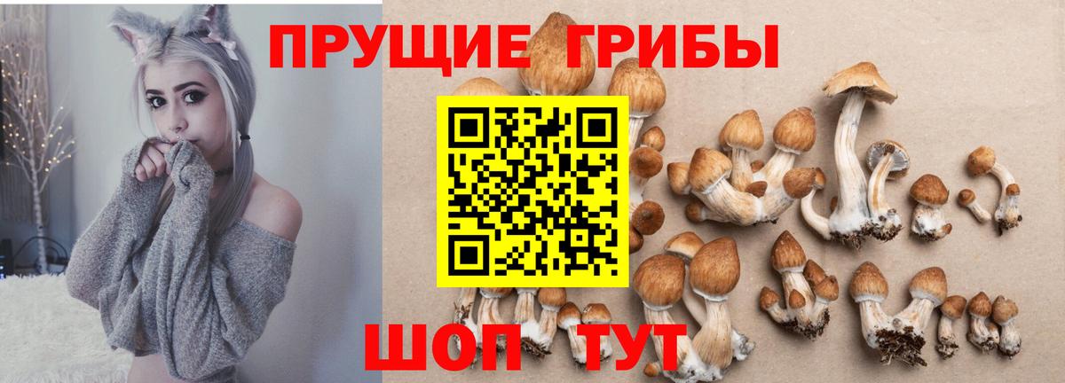 Галлюциногенные грибы Psilocybine cubensis  Вход с VPN  Урай  Псилоцибиновые грибы MAGIC MUSHROOMS 